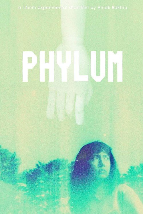 Phylum – Full Details