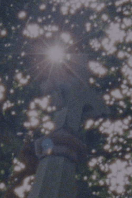 Sacred To The Memory Of – Full Details